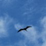 Boat tour to surrounding keys